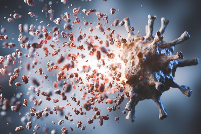Koronavirus özünü məhv edə bilərmi? - TƏDQİQAT