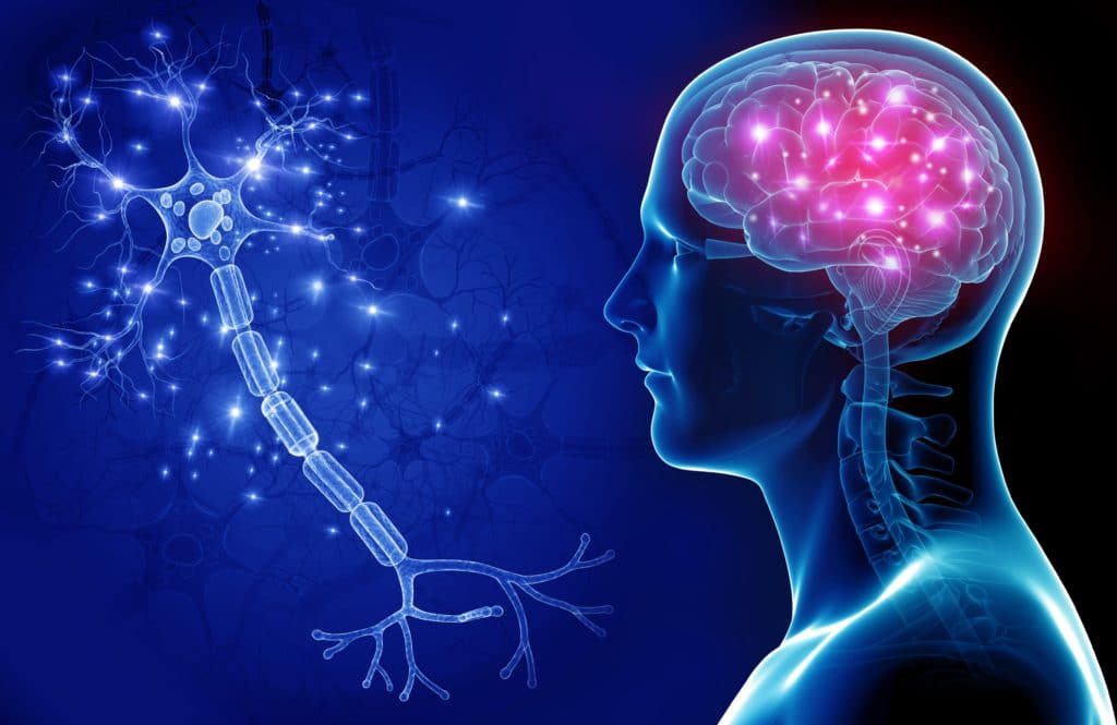 1 dekabr – Beynəlxalq Nevroloq Günüdür