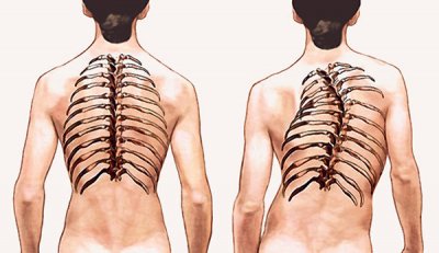 Osteopat: 