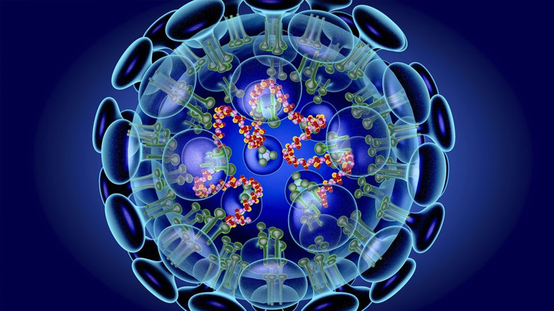 Dünyada koronavirusa yoluxanların sayı 360 milyonu ötüb  
