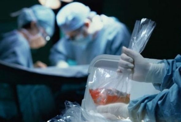 İnsan orqan və toxumalarının transplantasiyası haqqında qanun qüvvəyə minib