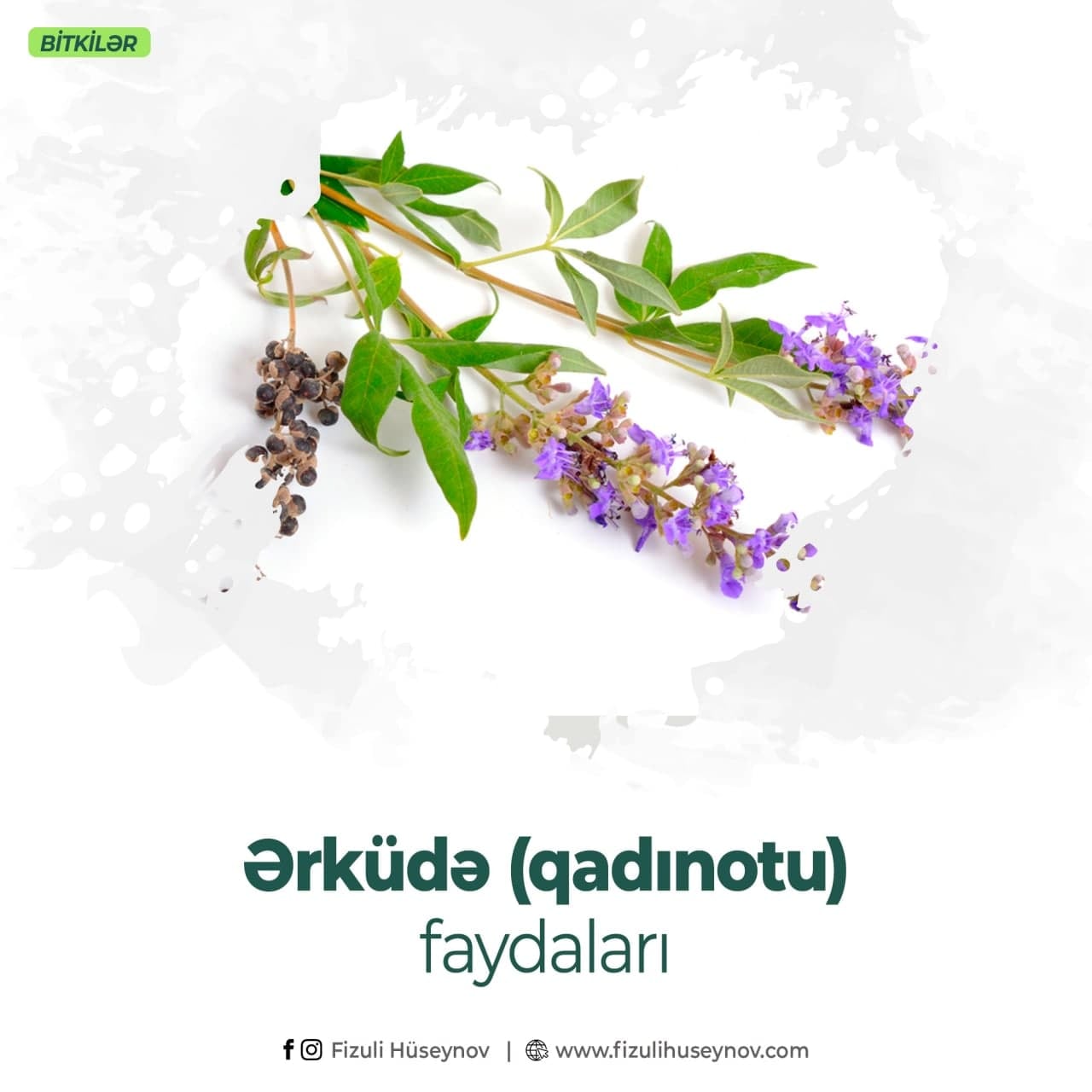 Ərküdə çayının qəbulu gələcəkdə cinsi orqanların xərçəngə tutulma ehtimalını azaldır - Fizuli Hüseynov
