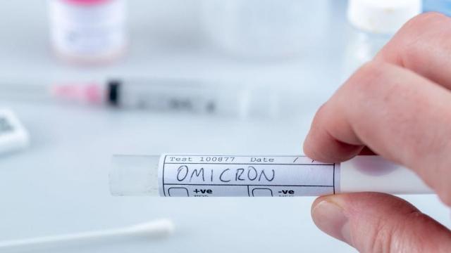Omikronun BA.2 alt-variantı daha yolxucudur - Araşdırma