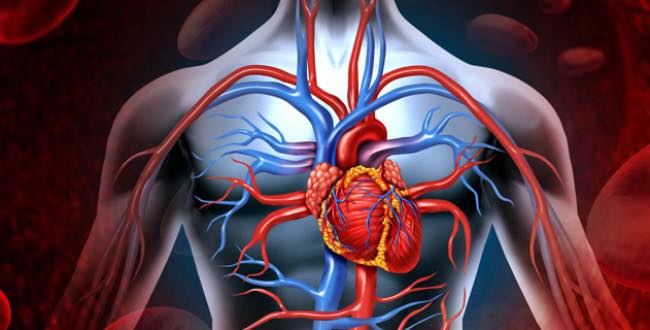 Ürək-damar xəstəlikləri olanlar vaksin vurdurmalıdır - Nazirlik 