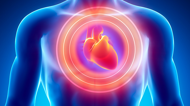Aorta qapaq yetməzliyinin SƏBƏBLƏRİ