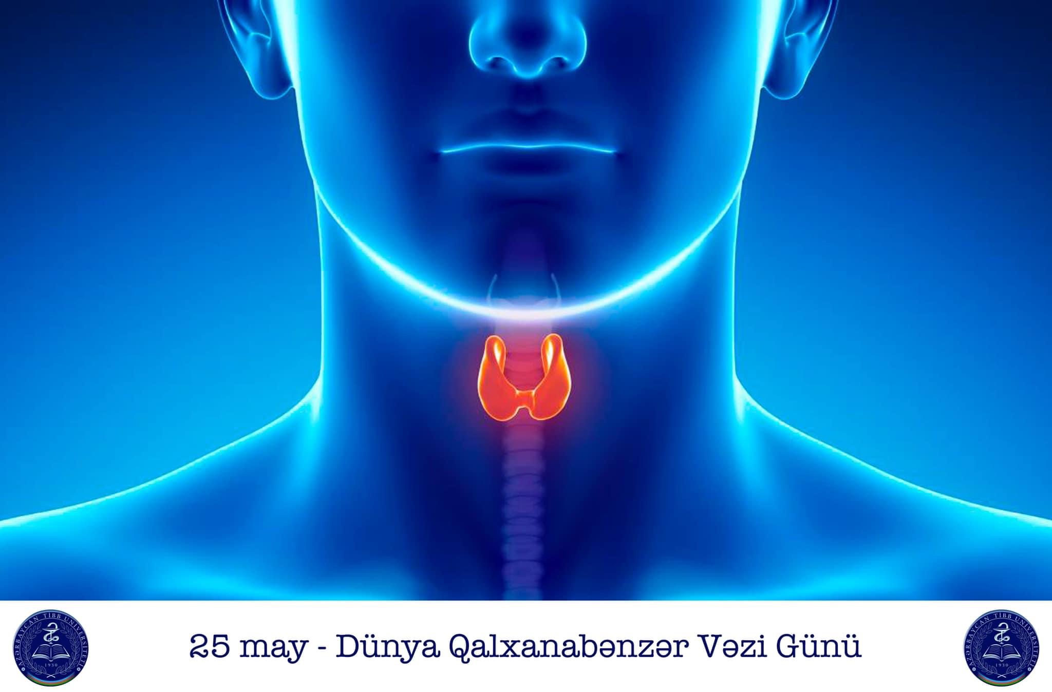 25 may - Dünya Qalxanabənzər Vəzi Günüdür