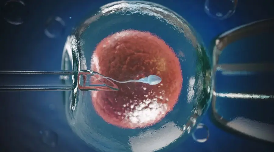 Elmi tədqiqat: Süni mayalanma yolu ilə doğulan körpələr daha ağıllı olurlar