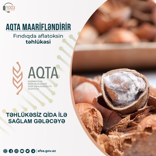 AQTA fındıqda aflatoksin təhlükəsindən bəhs edib