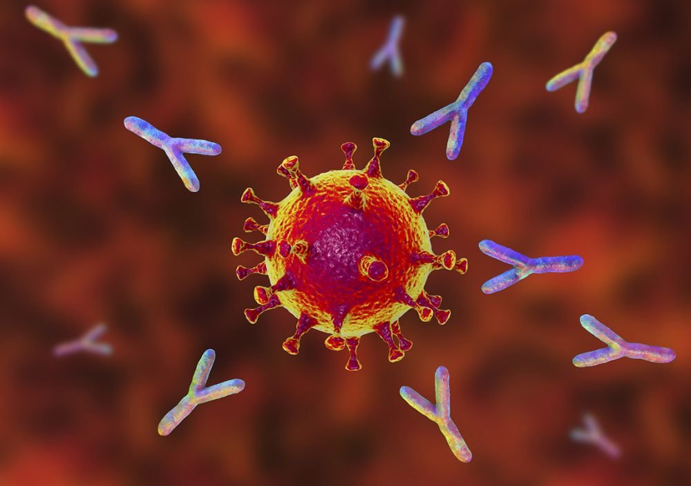 Karonavirus keçirənlərdə müdafiə 20 ay davam edir