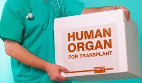 Azərbaycanda meyit donorun anonimliyini qorumayanlar cərimələnəcək  