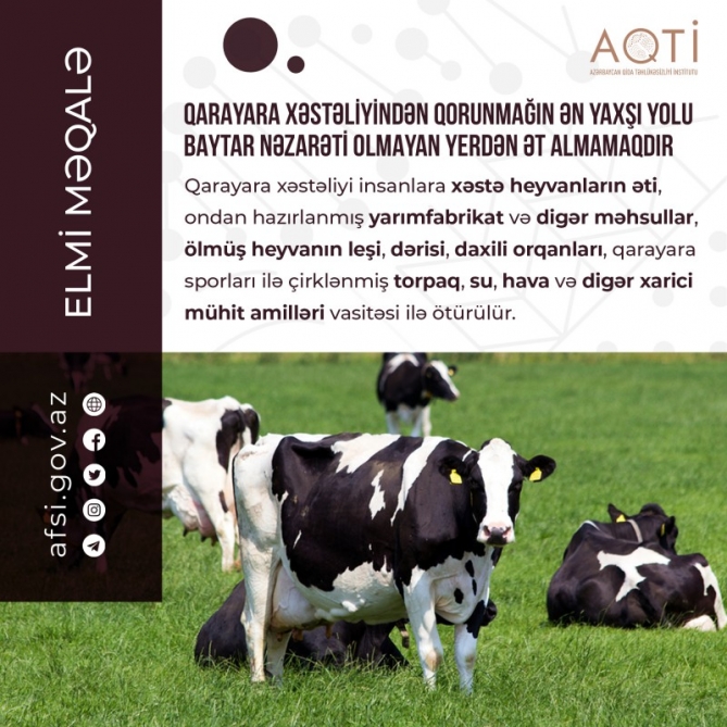 Qarayara xəstəliyindən qorunmağın ən yaxşı yolu baytar nəzarəti olmayan yerdən ət almamaqdır - AQTİ