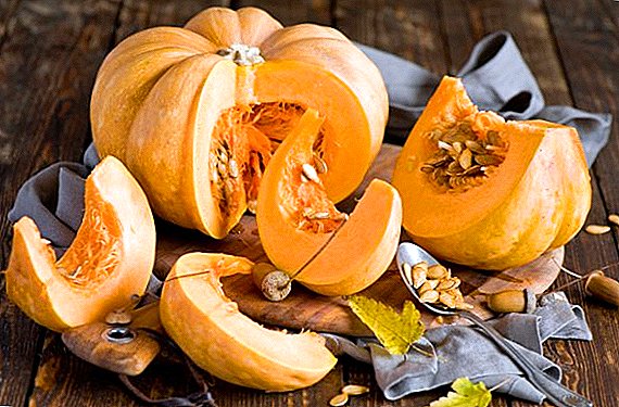 Nutrisioloq: Balqabaqdan istifadə qanda şəkərin səviyyəsinin azalmasına kömək edir  