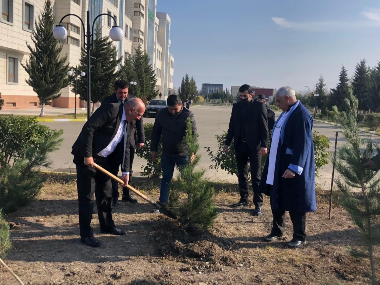 Yevlax Rayon Mərkəzi Xəstəxanasının ərazisində ağacəkmə aksiyası keçirilib