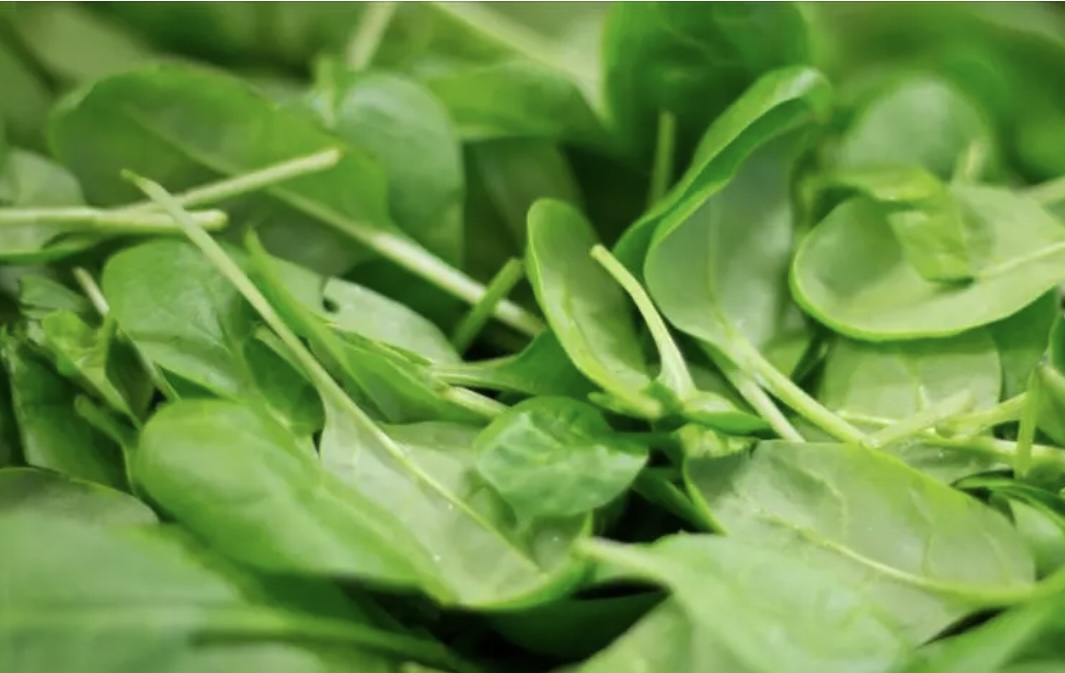 Avstraliyada zəhərli ispanaq xəbərdarlığı