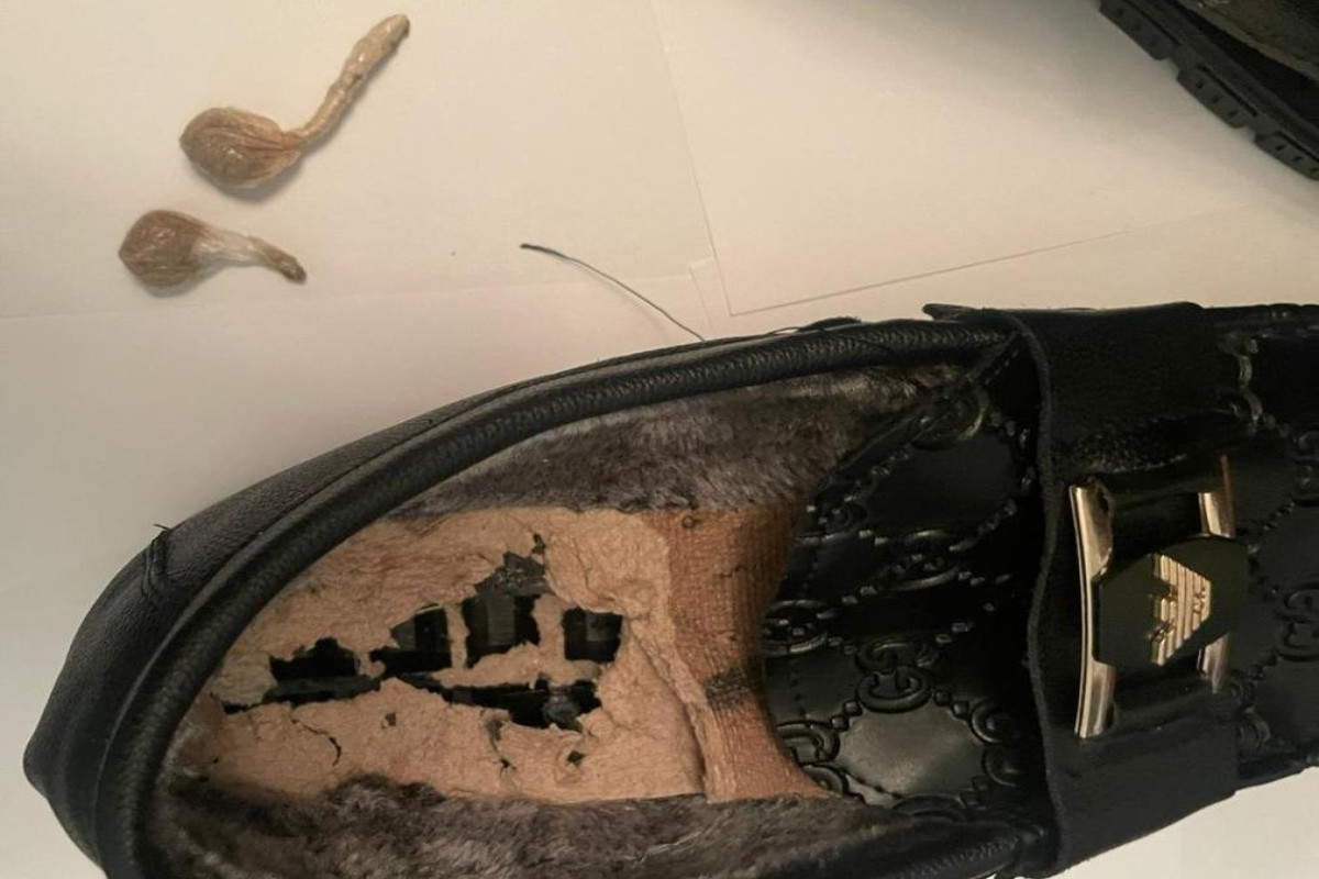 Penitensiar Xidmətin müalicə müəssisəsinə narkotik keçirməyə cəhd olunub