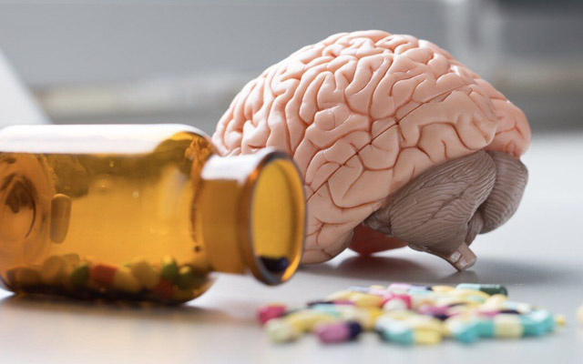 Beynimiz və sinirlərimiz üçün vacib olan vitaminlər hansılardır?