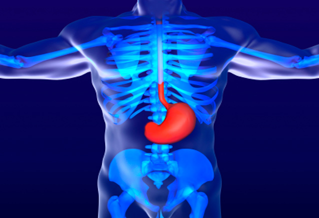 Mədə-bağırsaq traktının xəstəlikləri: ƏSAS ƏLAMƏTLƏRİ və MÜALİCƏSİ