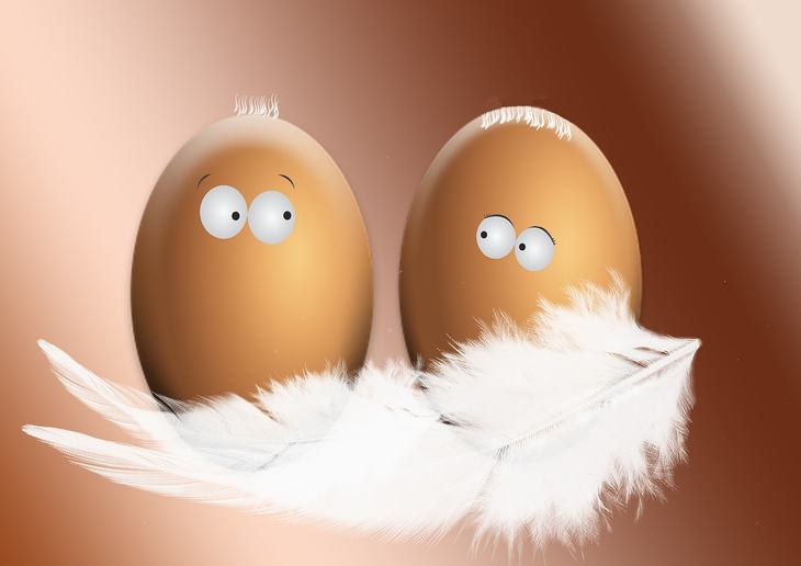 Yumurtanın sarısı, yoxsa ağı daha faydalıdır?