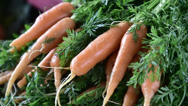 Həkim görmə üçün faydalı məhsulları sadaladı 