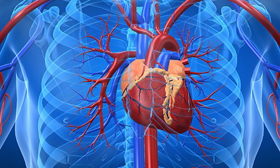 Miokard infarktın yaranma səbəbləri nələrdir? - VİDEO