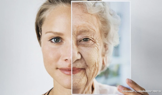 Soyuq sağlam yaşlanma üçün faydalıdır