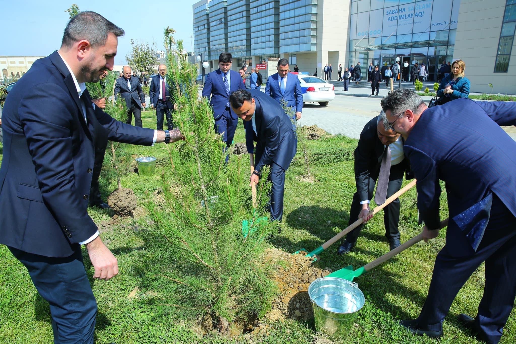 Abşeron Rayon Mərkəzi Xəstəxanasında ağacəkmə aksiyası: “Təbiətin təbibi”