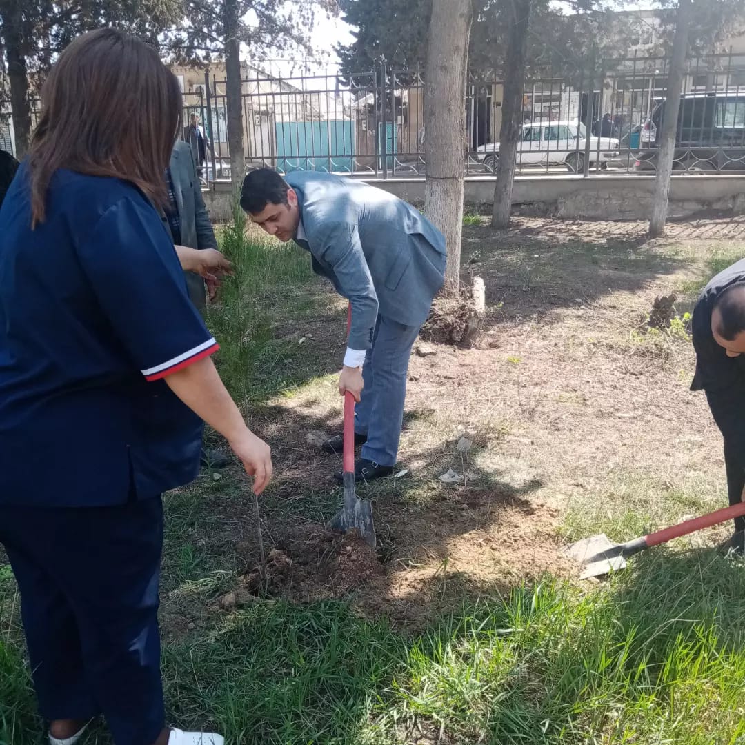 Tovuz Rayon Mərkəzi Xəstəxanasında ağacəkmə aksiyası keçirilib