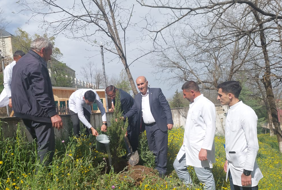 Lerik Rayon Mərkəzi Xəstəxanasında “Heydər Əliyev İli” çərçivəsində ağacəkmə aksiyası keçirilib