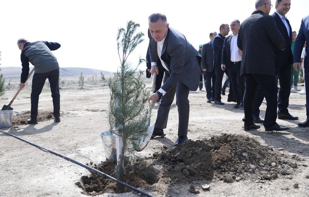 Ümummilli Lider Heydər Əliyevin 100 illiyi münasibətilə Müşfiqabad qəsəbəsində ağacəkmə aksiyası təşkil olunub
