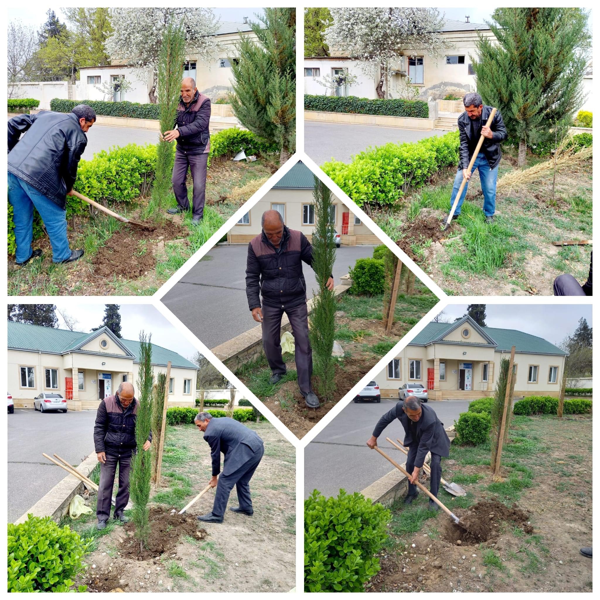 Tərtər Rayon Mərkəzi Xəstəxanasında AKSİYA: “Hərəyə bir ağac əkək” 