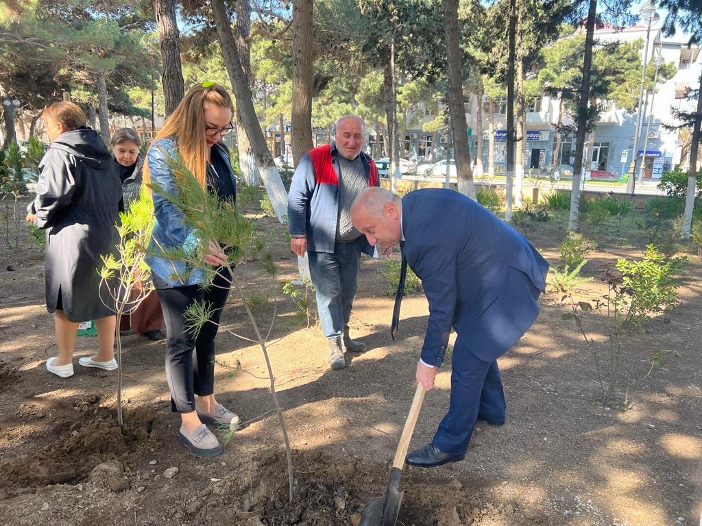 Sumqayıt Tibb Mərkəzində ağacəkmə aksiyası: “Ağaclar ağ ciyərlərimizdir” 