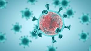 Koronavirusa 1 yeni yoluxma faktı qeydə alınıb