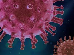 Daha 2 nəfər koronavirusa yoluxub, ölən yoxdur