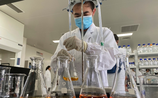 Çin alimləri çay və xərçəng arasında əlaqə tapıblar