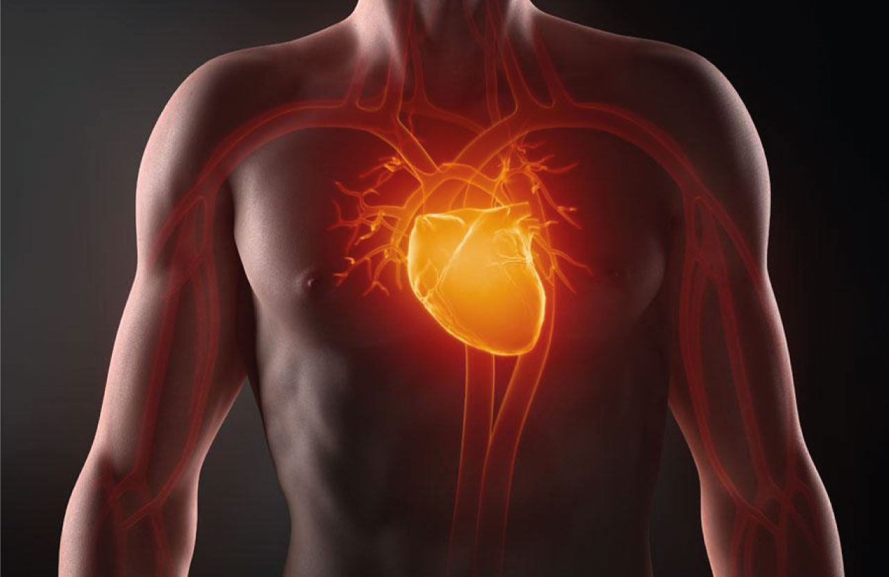 Kardioreabilitasiya nədir?