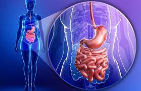 Mədə-bağırsaq traktı xəstəliklərindən necə qorunmaq olar? – Həkim yaranma səbəblərini açıqladı