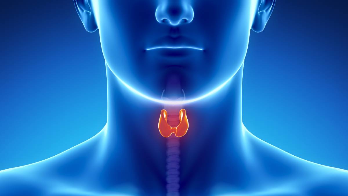 Qalxanabənzər vəzi xəstəlikləri: el arasında “Zob” adlandırdığımız vəziyyət nə zaman yaranır?