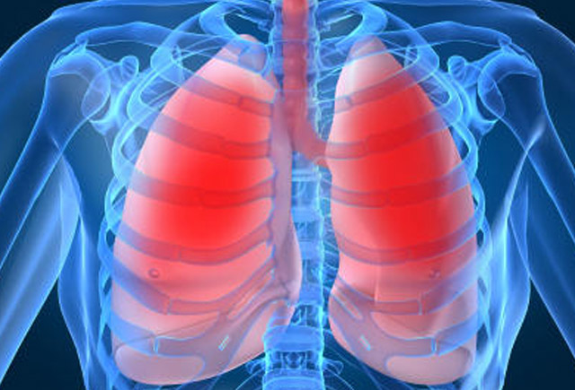 Pnevmoniya və bronxit arasındakı fərq nədir?