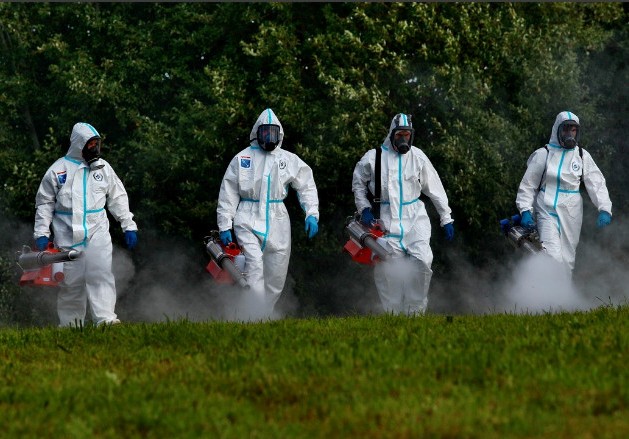 Afrika vəbasının nə qədər təhlükəli olduğu məlum oldu