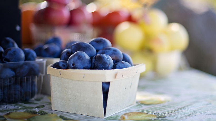 Mütəxəssis üz dərisini cavanlaşdıran meyvədən bəhs etdi