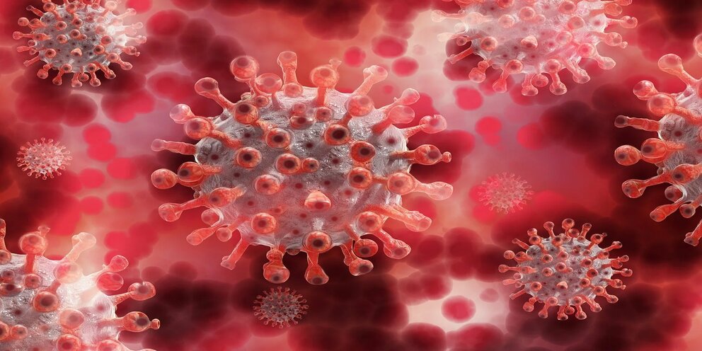 Bioloq koronavirusun QİÇS-ə səbəb olması ilə bağlı məlumatları şərh edib