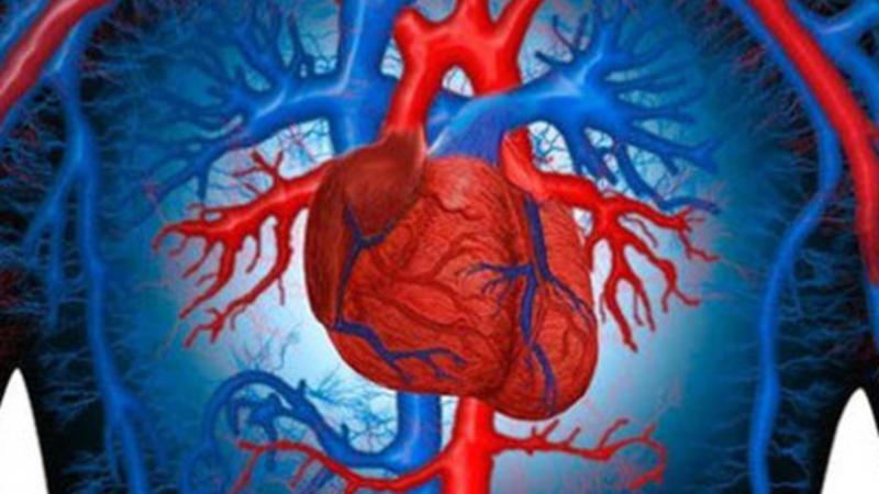 İşləyən ürəkdə bypass əməliyyatı ürəyi dayandırmadan həyata keçirilir - Ürək-damar cərrahiyyə uzmanı