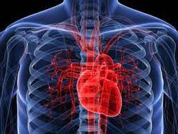  Anadangəlmə və qazanılmış ürək qüsurlarının fəsadları - Kardioloq AÇIQLADI   