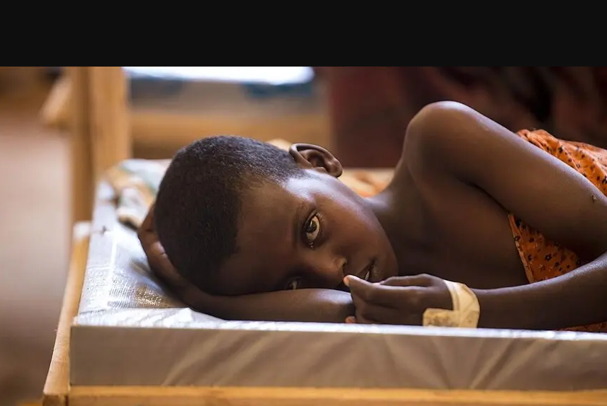 ÜST: Yolxucu xəstəlik poliomielit Afrikanın 21 ölkəsində müşahidə olunur