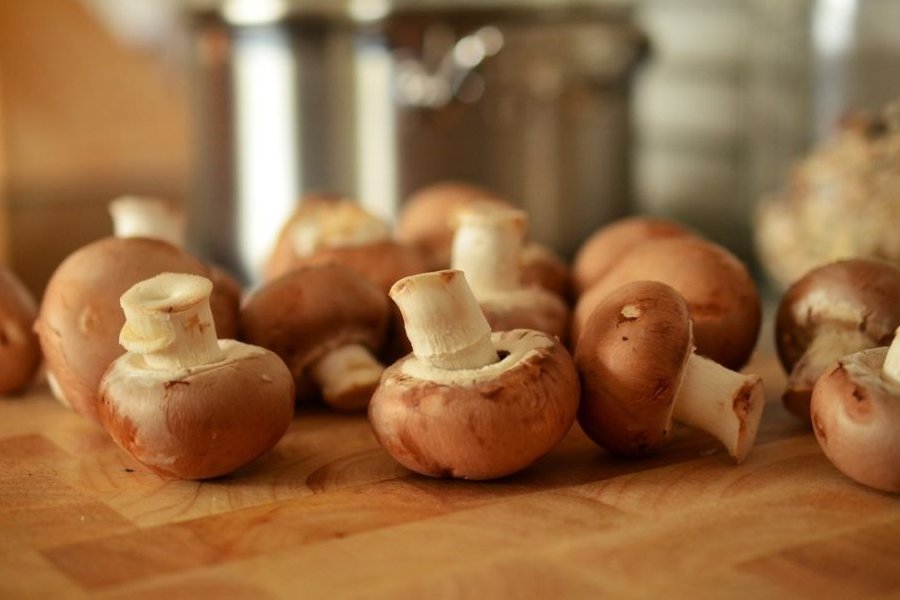 Mütəxəssislər göbələklərin niyə təhlükəli ola biləcəyini izah ediblər