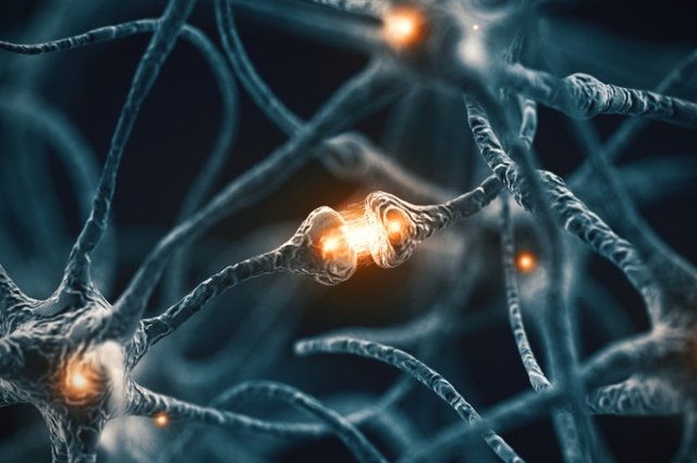 Alimlər sinirlərdəki qüsurları aradan qaldırmağın yolunu tapıblar – Unikal üsul