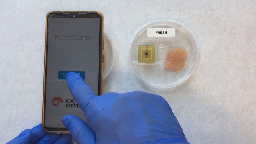 Türkiyəli alimlər qida zəhərlənməsinin qarşısını alacaq sensor hazırlayıblar