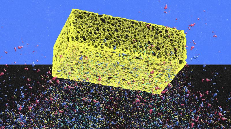 Alimlər mikroplastikləri udan sintetik süngərlər yaradıblar