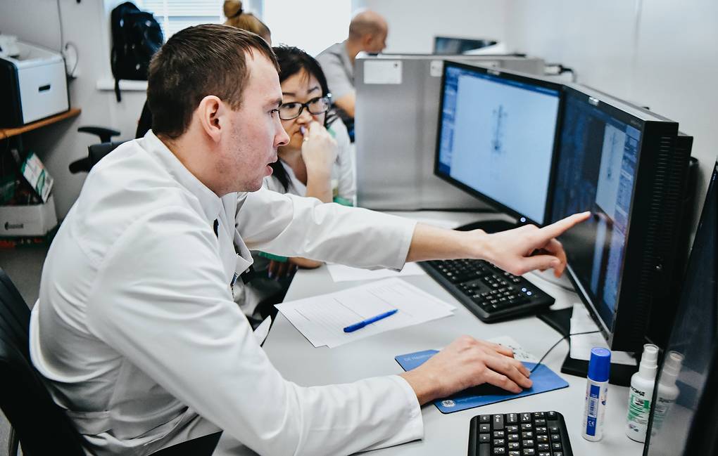 Alimlər prostat xərçənginin modeli üzərində dərmanı sınaqdan keçiriblər