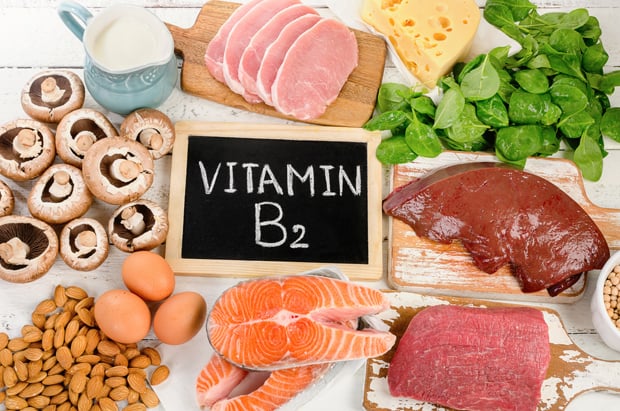 Elm adamları B2 vitamininin hansı xüsusiyyətlərini ən vacib hesab edir?